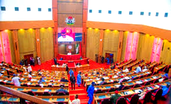 Tinubu Tax: NLC, Afenifere, ACF, Ohanaeze, 196 others flood NASS with memoranda