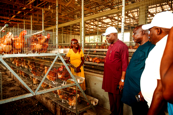 Bayelsa govt ‘ll partner LIFE-ND to boost commercial food production – Agric Commissioner