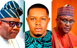 State of emergency: NASS saves democracy, remains Africa’s pride – Obidike