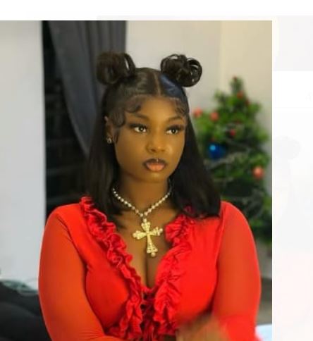 King Mitchy Expresses Regret, Offers Sincere Apology to Ooni, Seyi Tinubu, and VDM