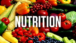2025 Nutrition Week: Nigeria moves to improve nutrition, build healthier nation
