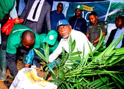 Gov Aiyedatiwa visits SAO Agro, reaffirms commitment to agricultural growth in Ondo