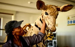 THE HERDS: 20,000KM climate art project to travel across Africa and Europe