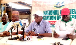 Cashew merchants lament incessant harassment, extortion by security agencies, govt officials in Ogun