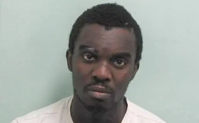 Nigerian convicted of double murder wins human rights case in UK