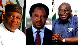 Ikpeazu, Ugwuanyi, Shehu Sani, Omokri, others make ambassadors’ list