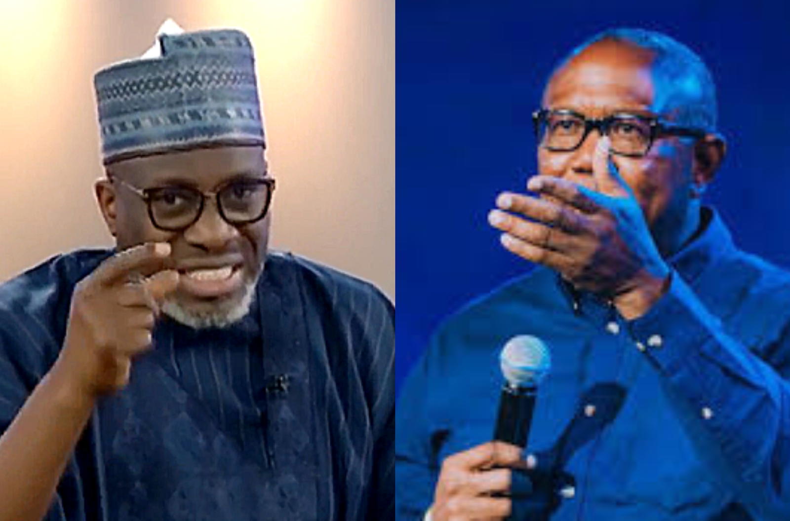 Stop demarketing Nigeria at international forums — Sowunmi advises Peter Obi