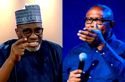Stop demarketing Nigeria at international forums  —  Sowunmi advises Peter Obi