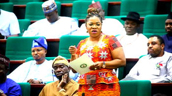Benue lawmaker cries out to Tinubu over killings in Otukpo