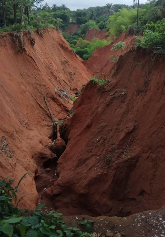 Gully erosion submerges 15 houses, farmlands in Anambra community