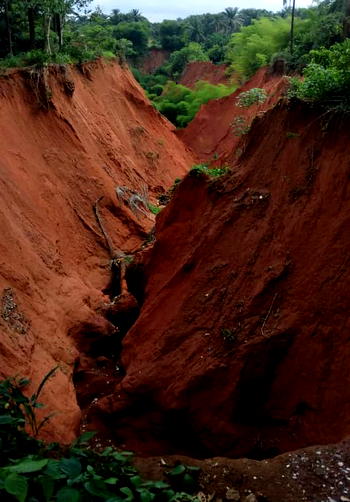 Gully erosion submerges 15 houses, farmlands in Anambra community