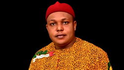 Ezenwafo emerges Anambra PDP governorship flag bearer