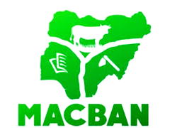 Six Fulani killed, 100 cattle rustled in Enugu – Miyetti Allah alleges 