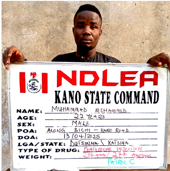 NDLEA nabs courier supplying illicit drugs to wanted terrorists leader in Katsina