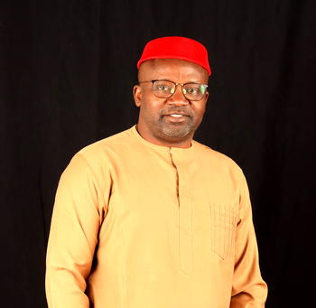 NIDO Africa chairman voices concern over the need for improved services to Nigerians abroad by Nigerian embassies