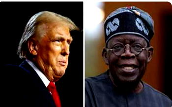 US visa restriction: Retaliate against Trump even if only one American affected, ex-envoy tells Tinubu
