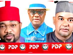 Expel Wike, Damagum, Anyanwu now or lose two more govs, 40 lawmakers, Ikenga Ugochinyere warns PDP