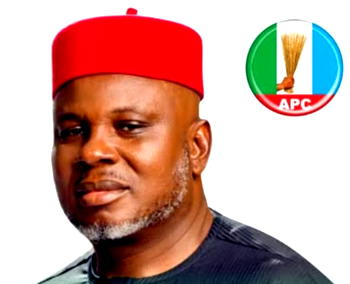 Updated: APC’s Ukachukwu wins Peter Obi’s polling unit