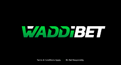 Waddibet Online Casino Games – Play Slots, Table Games & Live Dealer Action