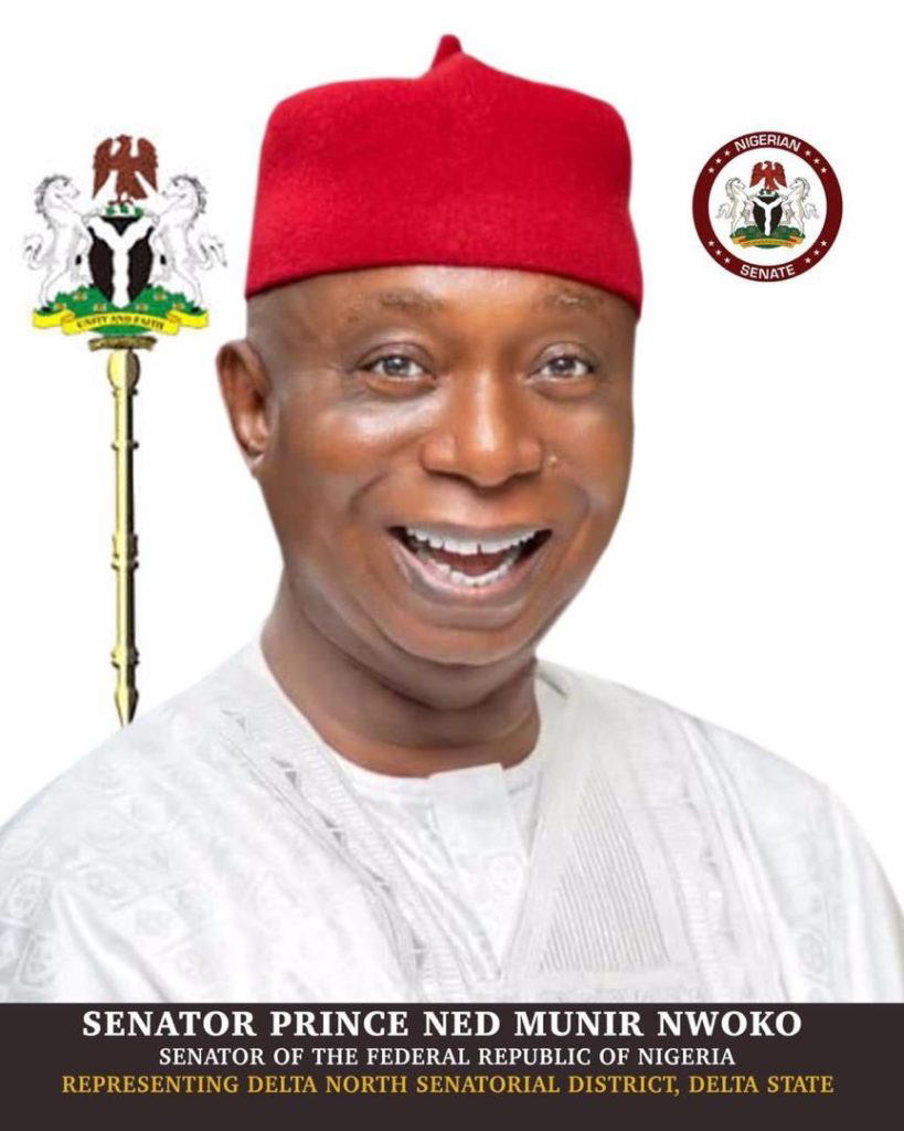 Ned Nwoko is right, Aniomas are Igbos – Delta monarch