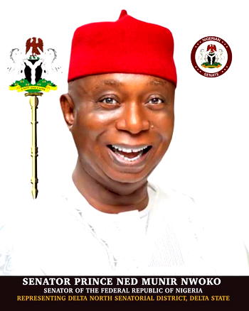 Ned Nwoko: Anioma State agitation now a structured national process, not an emotional quest
