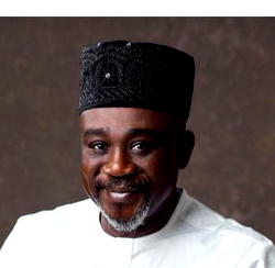 DSO or Die Trying: Why Nigeria must ditch the past and embrace a digital future