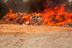 NDLEA destroys 1.6m kg of illicit drugs