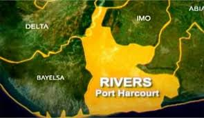 PDP's Olaka Nwogu, backed by Wike's Rainbow Coalition, emerges victorious in Rivers state's bye-election