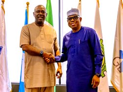 Strategic collaboration with Ministry of Petroleum will accelerate needed results – Ojulari