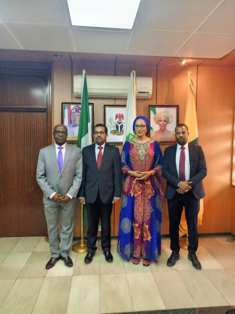 Climate impact could slash Nigeria’s GDP by 55% — NCIC warns