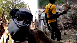 Insecurity: How bandits, killer-herdsmen have impacted farming, food supply