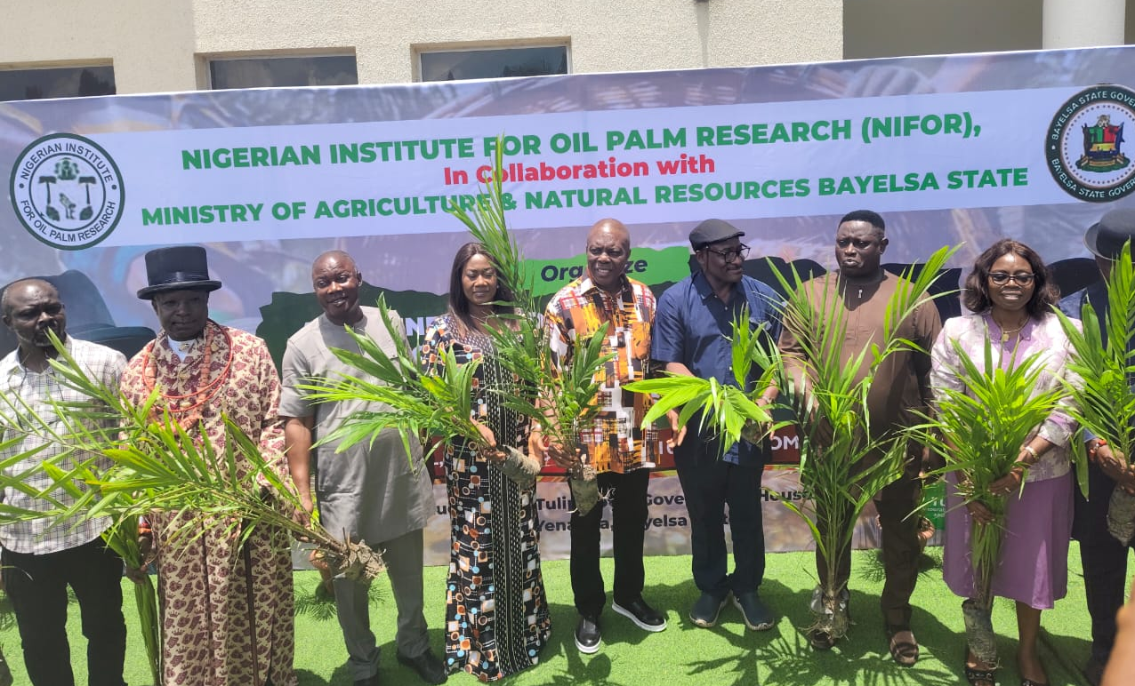 Gov Diri approves N500m to boost agriculture in Bayelsa