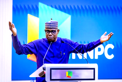 Ojulari pledges to attract $60bn investments, raise 3mbpd crude production by 2030