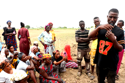 Food: Agric firm empowers smallholder farmers with knowledge, tools