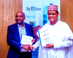 Foundation‘ll drive devt, deepen economic growth in Borno – NESG