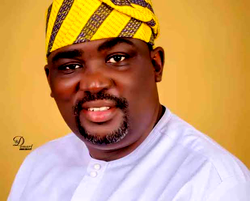 Ogun LG boss suspends Iyaloja activities in Mowe
