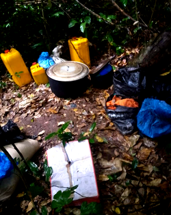 How security operatives dislodge gunmen from Anambra bush after 6 hrs battle