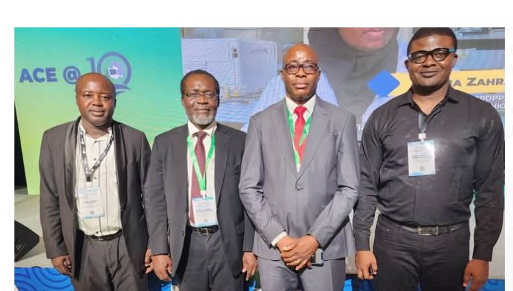 ACE-SPED UNN can provide homegrown solutions to Nigeria’s energy crisis – UNN Acting VC
