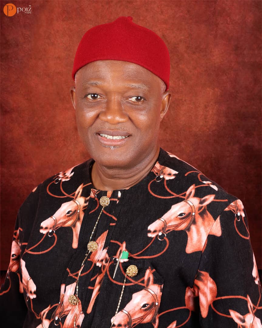 Why I’m defecting back to PDP – LP Rep, Dennis Agbo