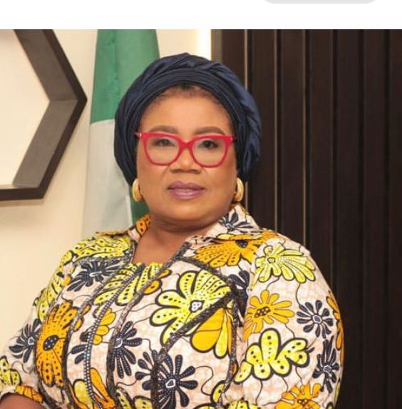 AICL holds roundtable summit with development partners, financial institutions
