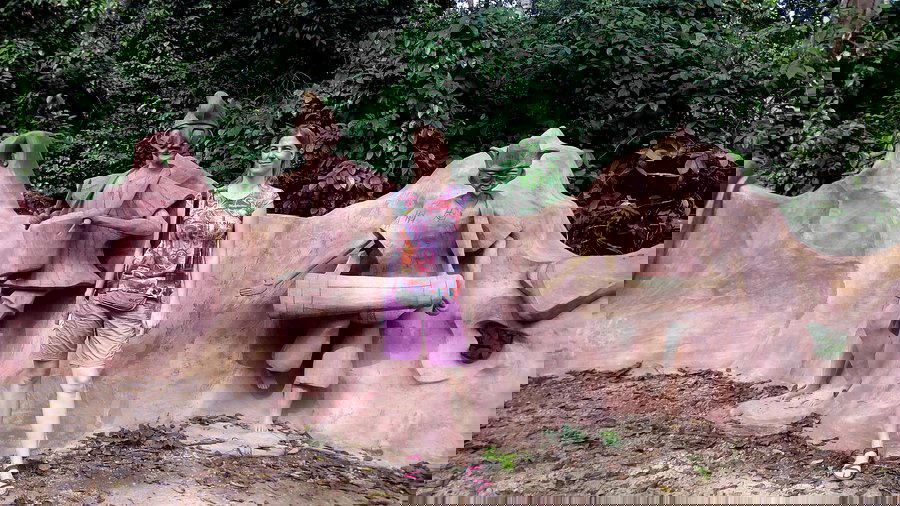Osun-Osogbo grove risk delisting as UNESCO heritage site over encroachment