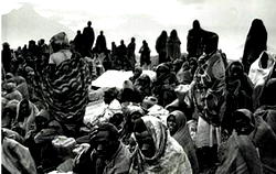 1994 Rwandan genocide: Don’t let it happen anywhere – Rwandan Ambassador, BU VC