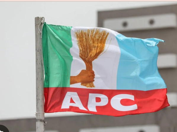 Tension in Lagos APC as members protest imposition of candidate in Yaba