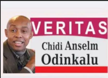 Democracy in Africa and the dangers of a judicial selectorate, by Chidi Odinkalu
