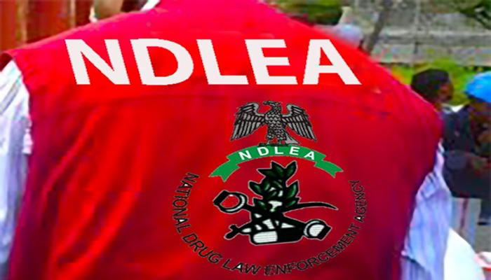 NDLEA intercepts N3.2bn worth of Opioids in Lagos, P-Harcourt