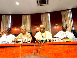 Northern govs call for review of strategies over increasing killings