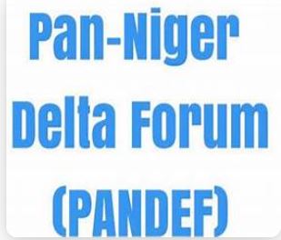 Democracy Day: PANDEF hails South-South Governors for development strides, urges continued unity