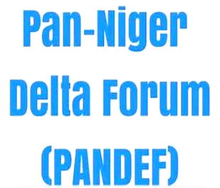 Democracy Day: PANDEF hails South-South Governors for development strides, urges continued unity