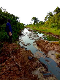 Fresh oil spill rocks Bayelsa community