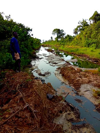 Fresh oil spill rocks Bayelsa community